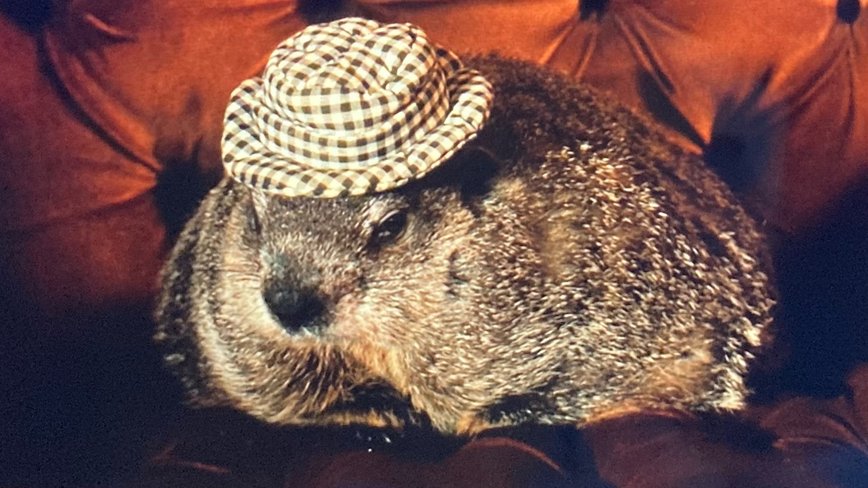 Alabama's Furry Star Steals the Show in New Action Flick!