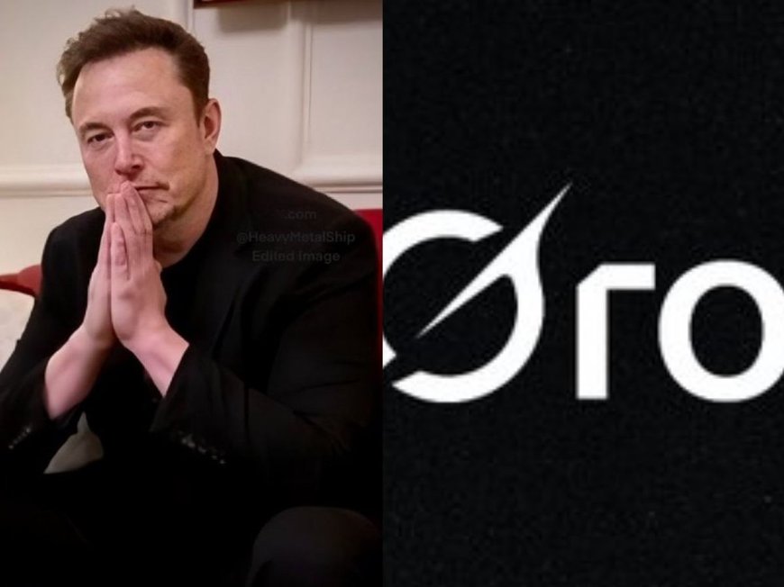 Elon Musk’s xAI Grok