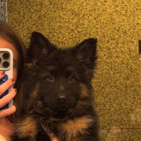 Sydney Sweeney’s Adorable Pup Steals the Internet's Heart