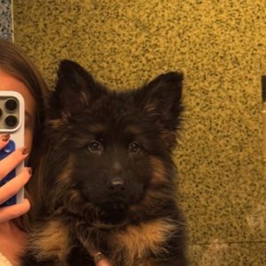 Sydney Sweeney’s Adorable Pup Steals the Internet's Heart