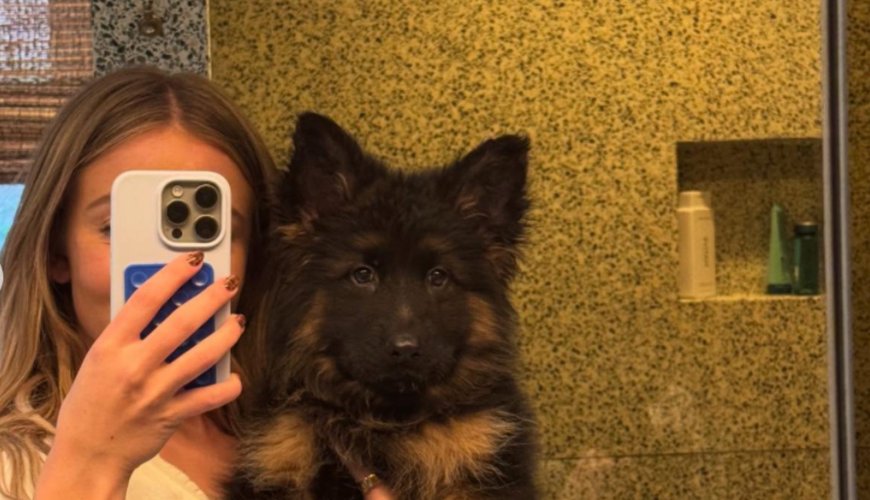 Sydney Sweeney’s Adorable Pup Steals the Internet's Heart