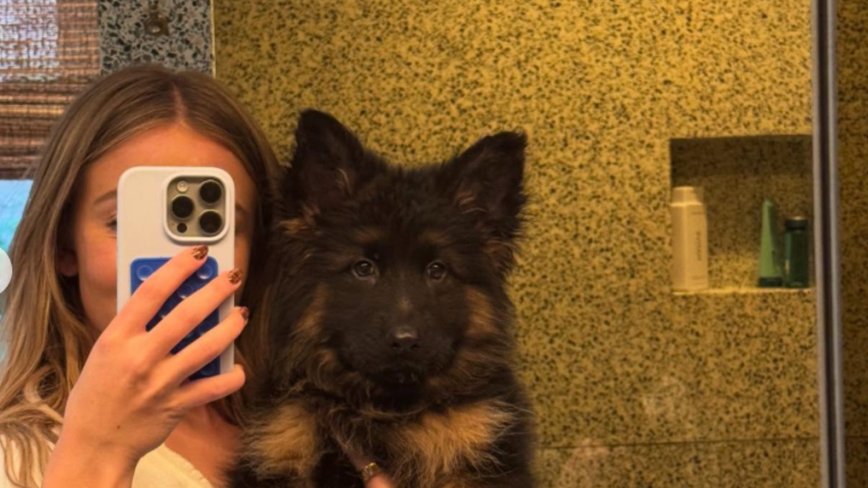 Sydney Sweeney’s Adorable Pup Steals the Internet's Heart