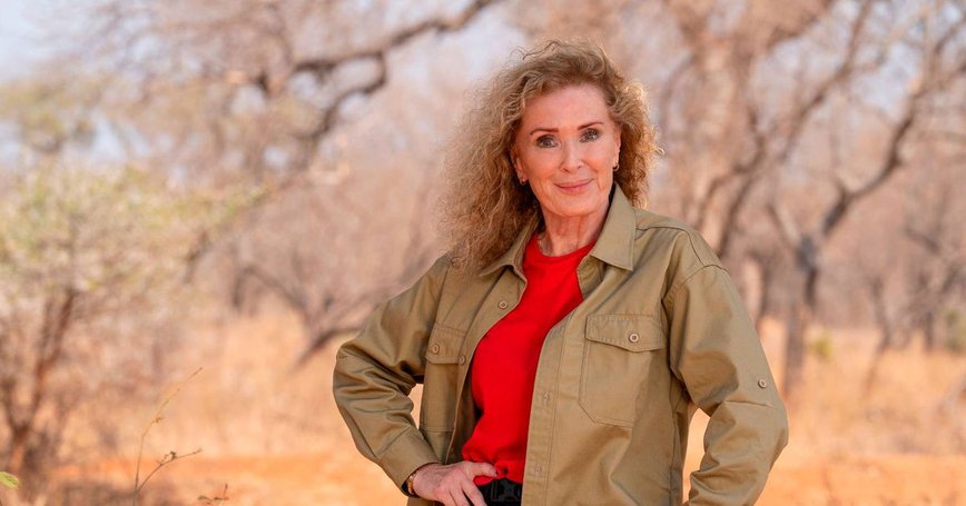 I'm A Celebrity All Stars 2026: Who's Ready to Tackle the Jungle Again?