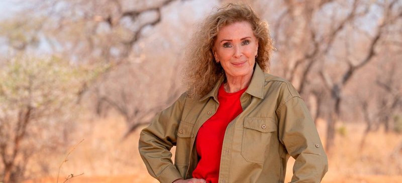 I'm A Celebrity All Stars 2026: Who's Ready to Tackle the Jungle Again?