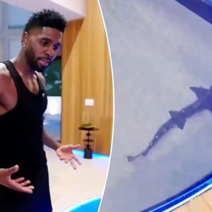 Jason Derulo's $1M Shark Tank Sparks Major Backlash