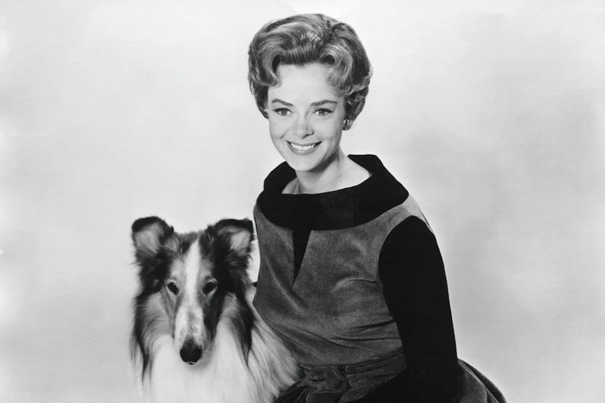 June Lockhart, ‘Lassie’ and ‘Lost in Space’ Actress, Dead at 100