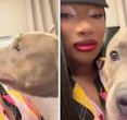 Megan Thee Stallion's Heartwarming Rescue: A Life Saved from the Brink