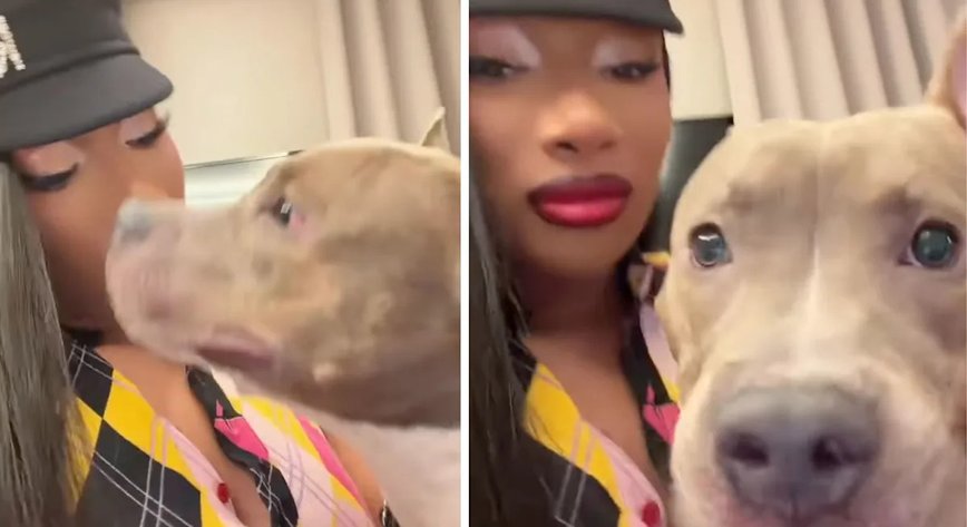 Megan Thee Stallion's Heartwarming Rescue: A Life Saved from the Brink