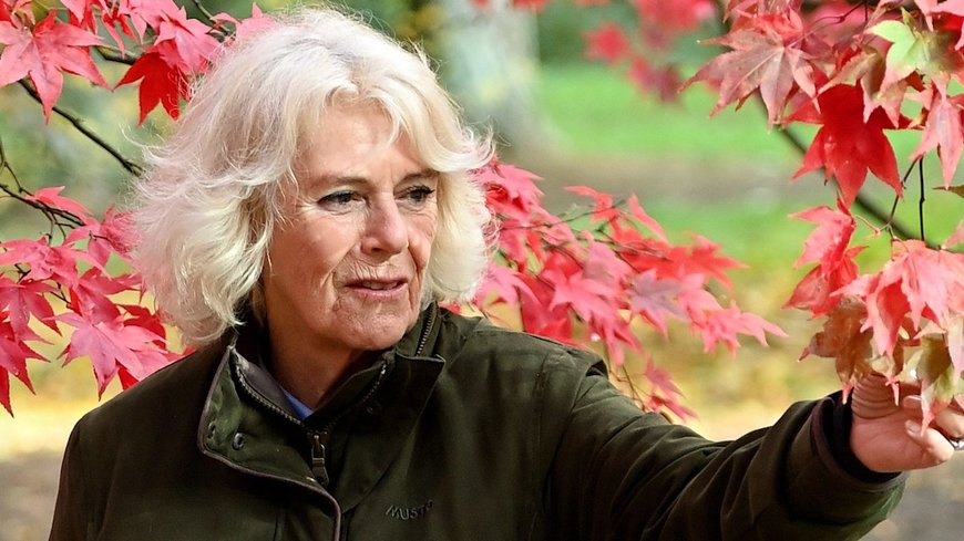 Queen Camilla