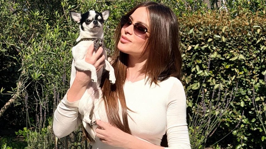 Sofía Vergara Stuns in Chic White Dress and Sparks Romance Rumors