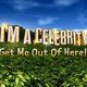 I'm a Celebrity 2025: Who Will Snag the Jungle Crown?