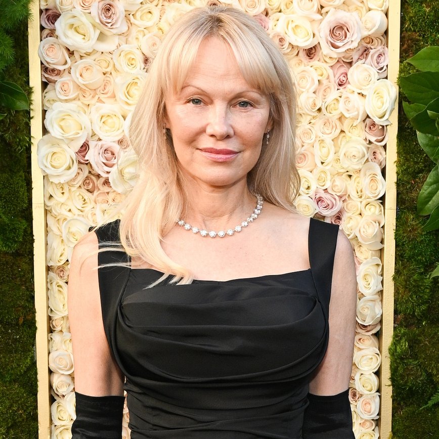 Pamela Anderson's Awkward Encounter with Seth Rogen at the Golden Globes